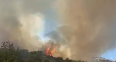 Muğla'da tarım arazisinde yangın