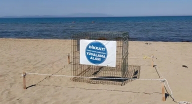 Pamucak Sahili’nde sürpriz misafir