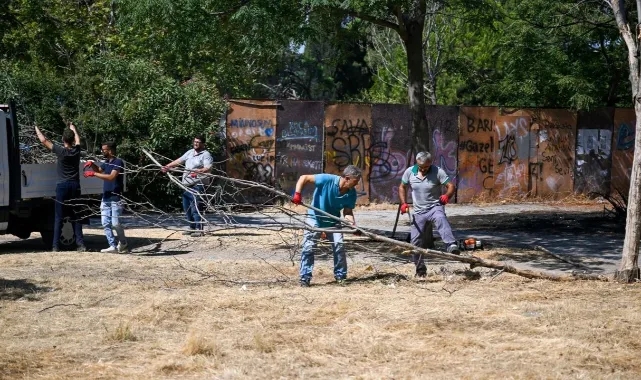 Paterson Köşkü çevresi temizlendi!