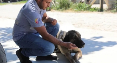 Selçuk’ta “Satın Alma Sahiplen” çağrısı!