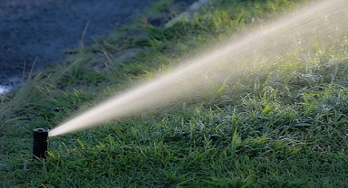 Su krizi parkları vurdu: Belediyeden ‘asgari sulama’ kararı!
