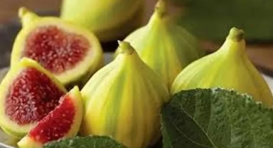 Buca Bardacığı görücüye çıkıyor