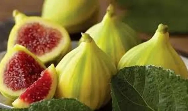 Buca Bardacığı görücüye çıkıyor