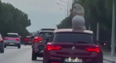 Dans etti, cezayı yedi!