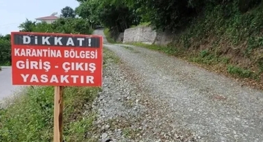 Kapatılan hayvan pazarları yeniden açıldı