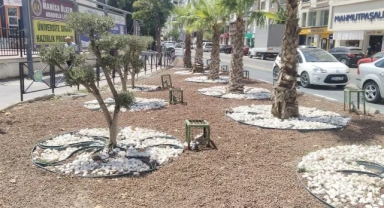 Kurakçıl peyzaj ile doğaya saygılı şehircilik