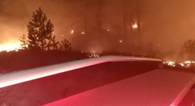 Orman yangını: 1 hektar küle döndü!