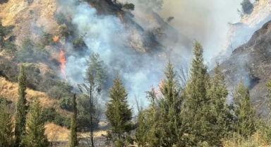 Aydın'da yangın paniği!