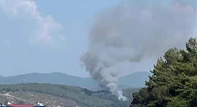 Bodrum'da orman yangını