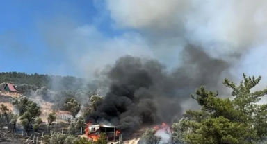 İzmir'deki orman yangını kontrol altında!