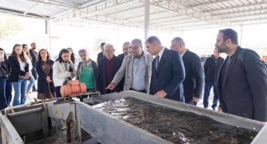 Bademler Kooperatifi’ni ziyaret etti... Sezonun ilk zeytinyağı Başkan Tugay’dan!