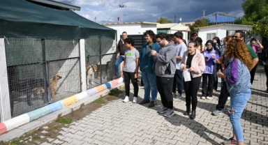 Bornova’da üniversite öğrencilerinden can dostlar destek