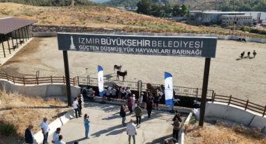 Büyükşehir'in İngilizce Konuşma Kulübü öğrencileri Pako'da