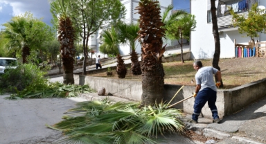 Çiğli’de sonbahar bakımı sürüyor