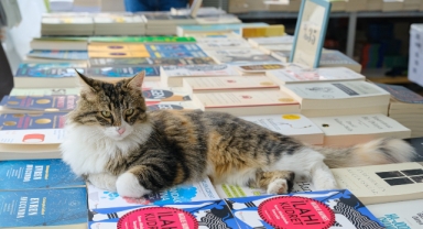 İZKİTAP'ta hafta sonu edebiyat rüzgarı esecek