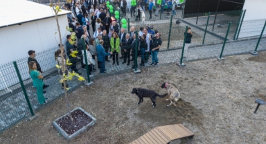 Karşıyaka'da sokak hayvanları için yeni tesis