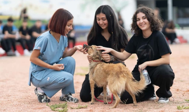 “Sahipsiz hayvanlara kötü muamele son bulsun”