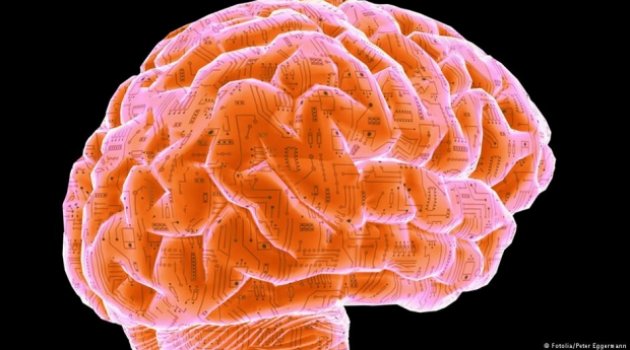 Beynin cinsiyeti yok