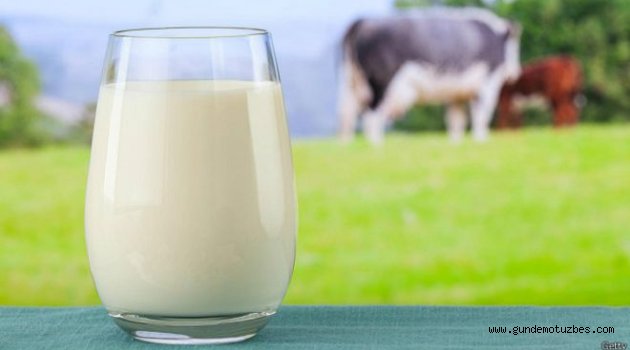 Kelime oyunları zihnin sırlarını açıklıyor