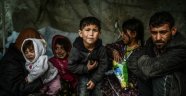 2015'te Türkiye'den Yunanistan'a 844 bin mülteci gitti