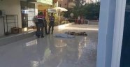 Alanya'da iki Suriyeli kardeş balkondan düşerek öldü, üvey anne gözaltına alındı
