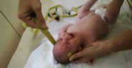 Bilim insanlarından Zika virüsü alarmı