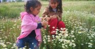 BİR SAMİMİYET SINAVI OLARAK NEVRUZ