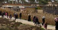 BM: IŞİD, Felluce'de sivilleri canlı kalkan olarak kullanıyor