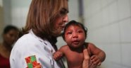 Dünya Sağlık Örgütü Zika virüsü için 'acil' toplanıyor
