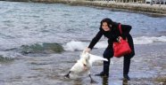 'İnsan' yine can aldı; fotoğraf çekilmek uğruna kuğuyu öldürdü!