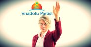 "Kapanma kararı alınan Anadolu Partisi, 13 ay önce niye kurulmuştu?"