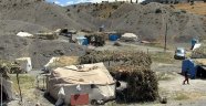 Şırnak'ta çatışmadan kaçan 2 bin kişi Cudi Dağı'na sığındı