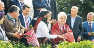Yargıtay, Danıştay ve Sayıştay başkanları Erdoğan'la birlikte Rize'de çay topladı!