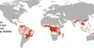 Zika virüsü 2,2 milyar kişiyi tehdit ediyor
