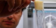 Zika virüsü Rusya'ya da sıçradı