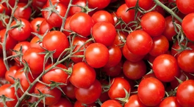 Zam şampiyonu domates, aralıkta enflasyonu düşürebilir