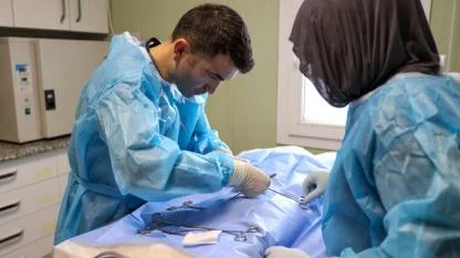 Buca’da 3 bin 54 sokak kedisi kısırlaştırıldı