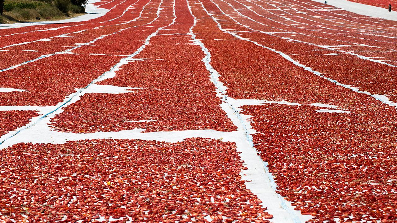Kuru domates ihracatı 100 milyon doları aştı