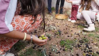 Orhanlı Köyü 2. Zeytin Hasadı Festivali coşkuyla başladı