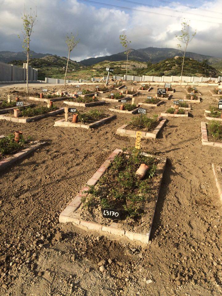 KİMSESİZLERİN KEMİKLERİNİ KUYUYA GÖNDERMEDİ, İSTİFA ETTİ!