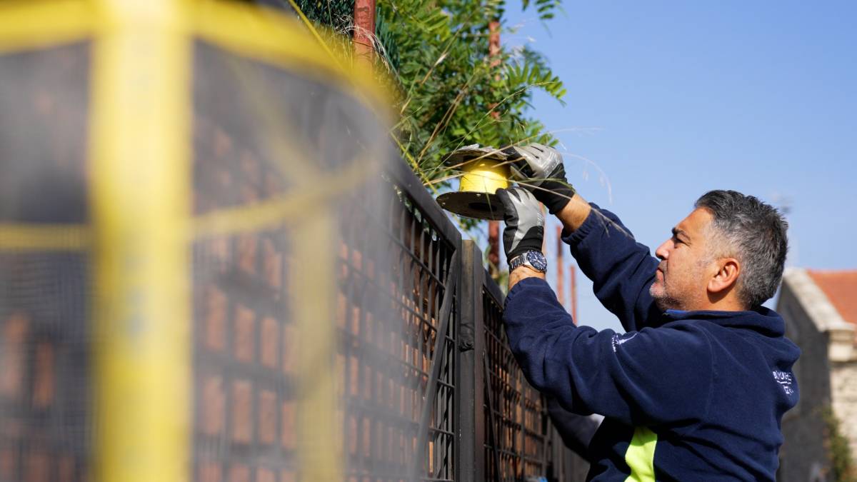 Büyükşehir Belediyesi’nden karasinekle yoğun mücadele