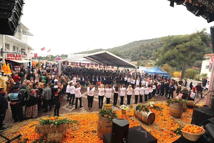 Menderes Mandalina Festivali İle Coşacak